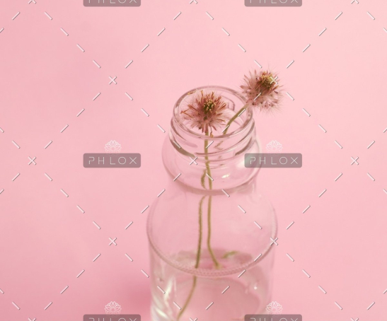 demo-attachment-796-photo-1429679310900-bad303d0e63a-1@2x