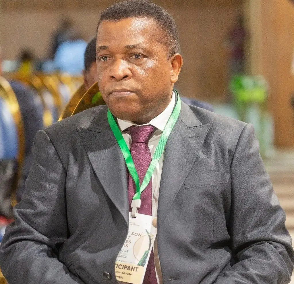 Jean-Claude Nkou, Expert