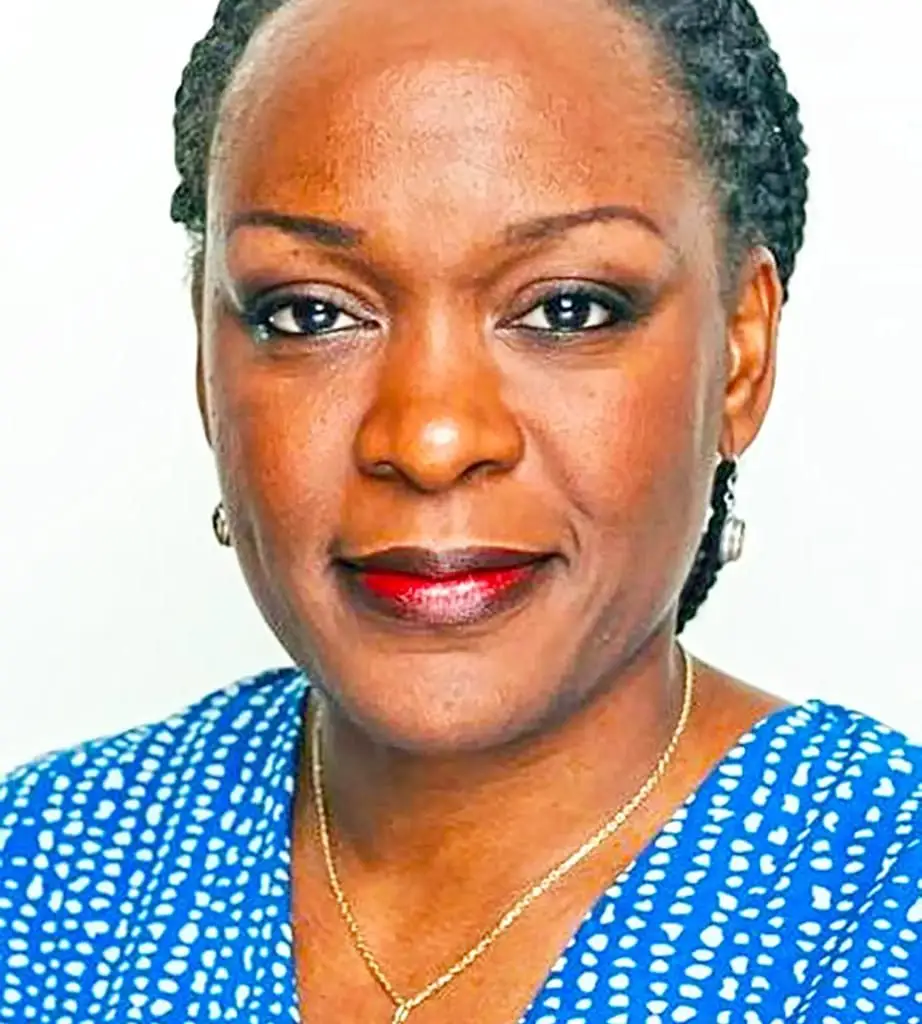 Dominique Tchimbakala, Journaliste